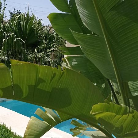 El Vaiven Apartment El Puerto de Santa Maria Ngoại thất bức ảnh