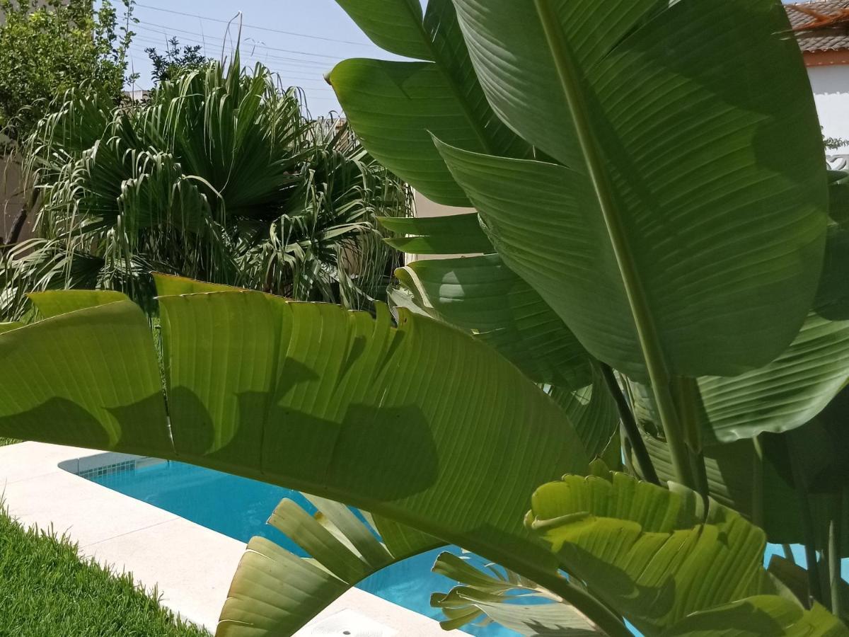 El Vaiven Apartment El Puerto de Santa Maria Ngoại thất bức ảnh